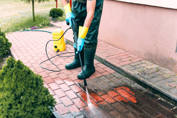 Best Local Pressure Washing Services  in Hrisburg, AR