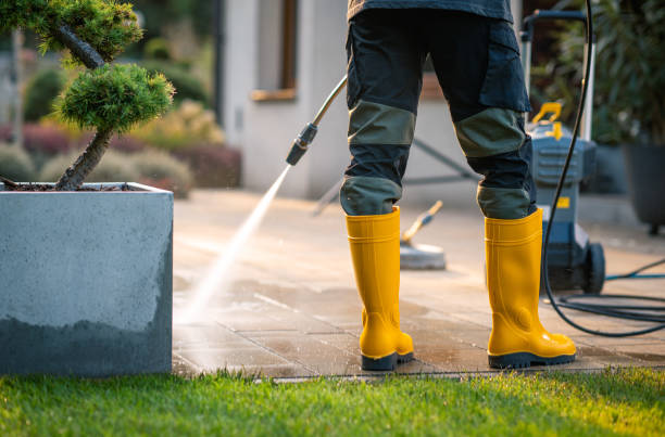 Best House Pressure Washing  in Hrisburg, AR